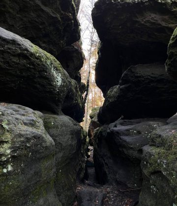 photo_14_2023-05-26_21-53-28