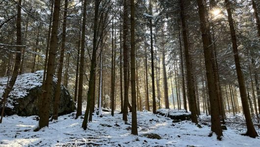 photo_3_2023-05-26_21-53-28